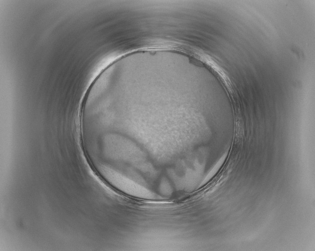 X0000115451487200912020955