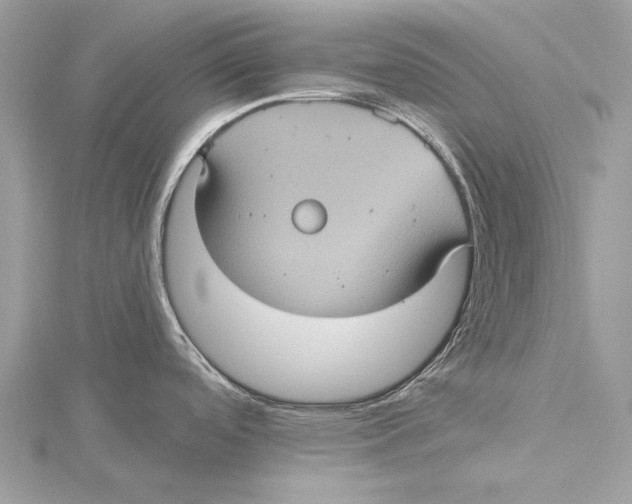 X0000115451488200912020955