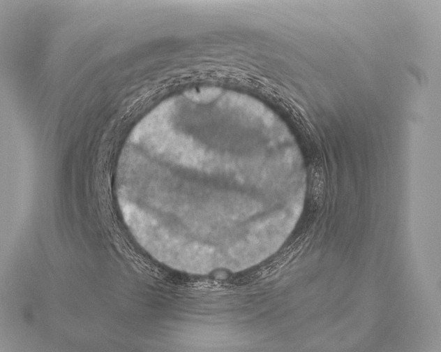 X0000115451489200912020955