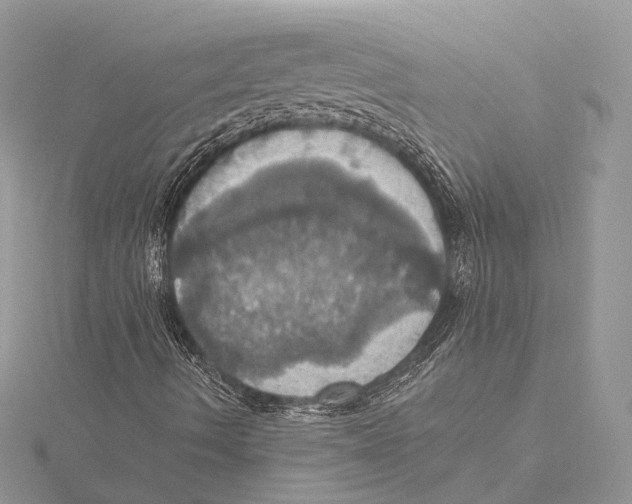 X0000115451490200912020955