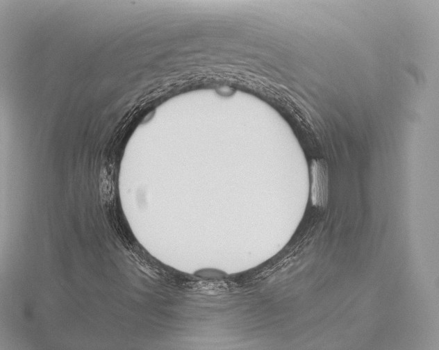 X0000115451491200912020955