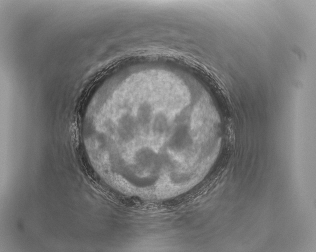 X0000115451493200912020955