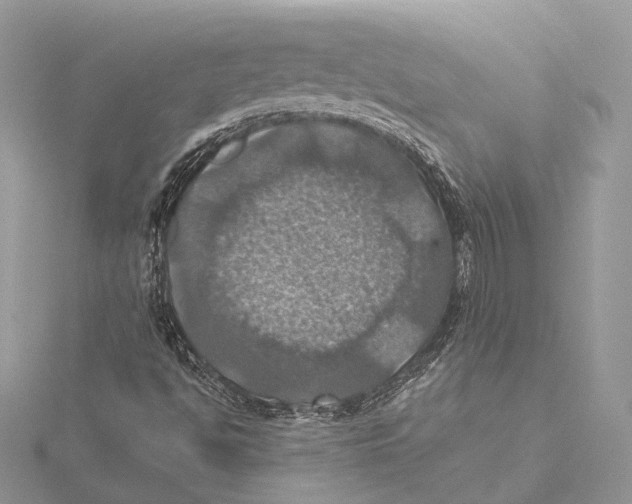 X0000115451494200912020955