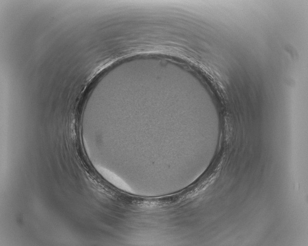 X0000115451497200912020955