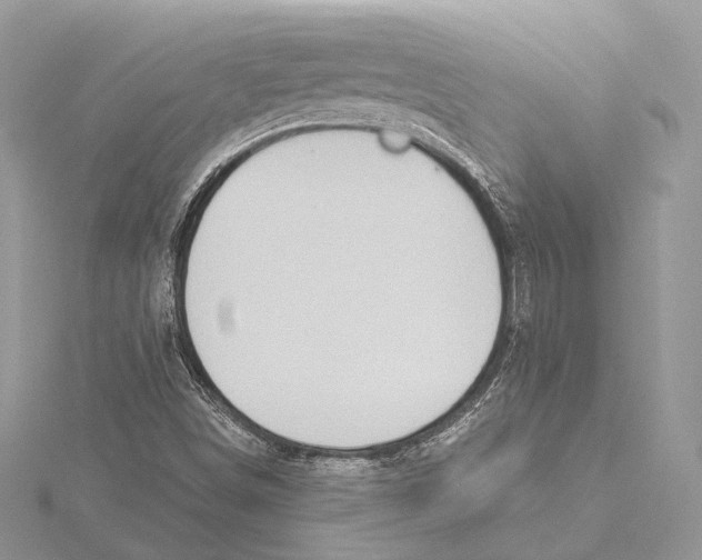 X0000115451498200912020955