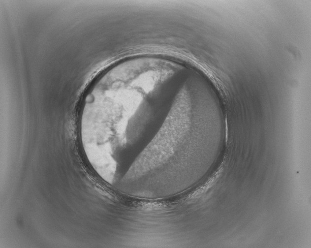 X0000115451501200912020955