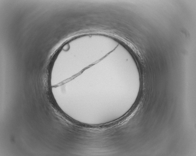 X0000115451502200912020955