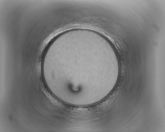 X0000115451503200912020955