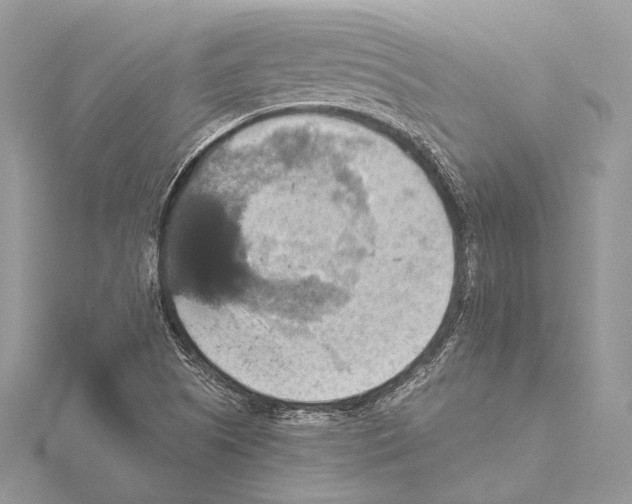 X0000115451505200912020955