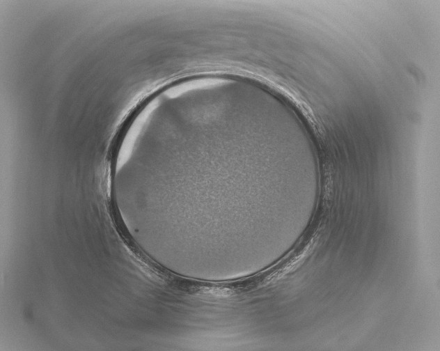 X0000115451509200912020955