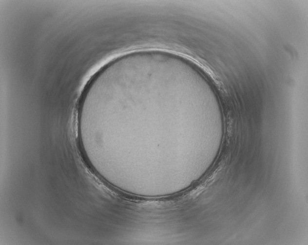 X0000115451510200912020955