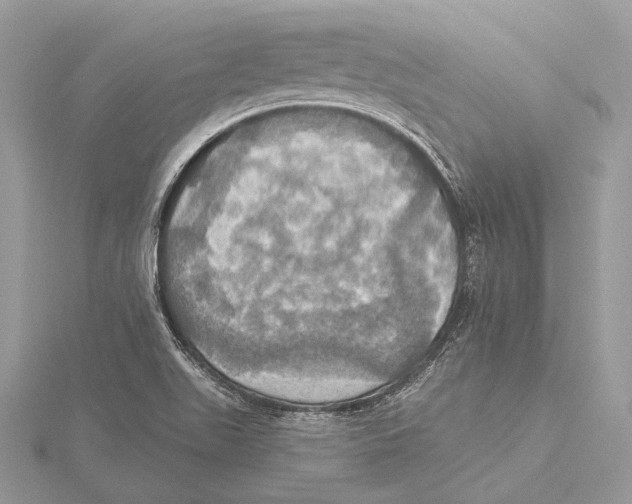 X0000115451511200912020955