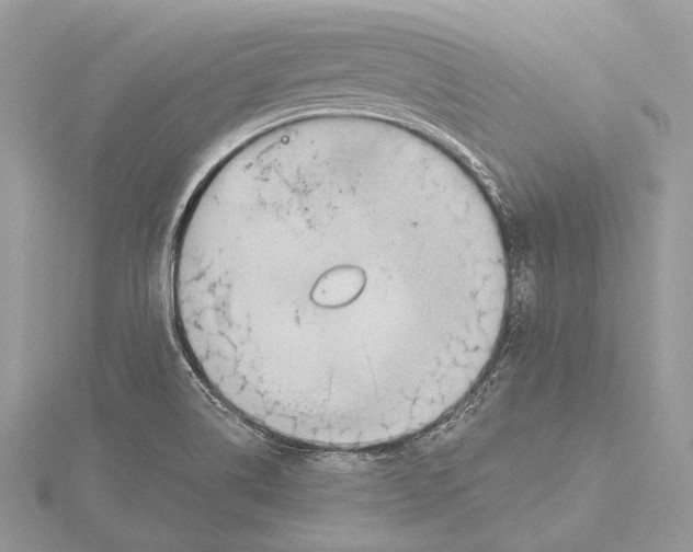 X0000115451514200912020955