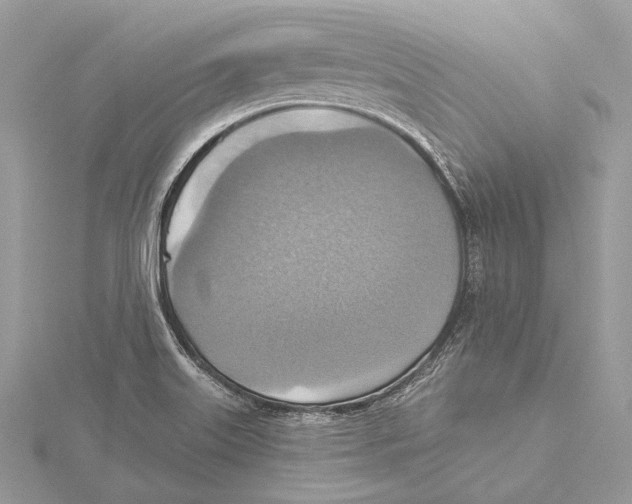 X0000115451515200912020955