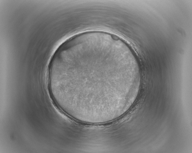 X0000115451519200912020955