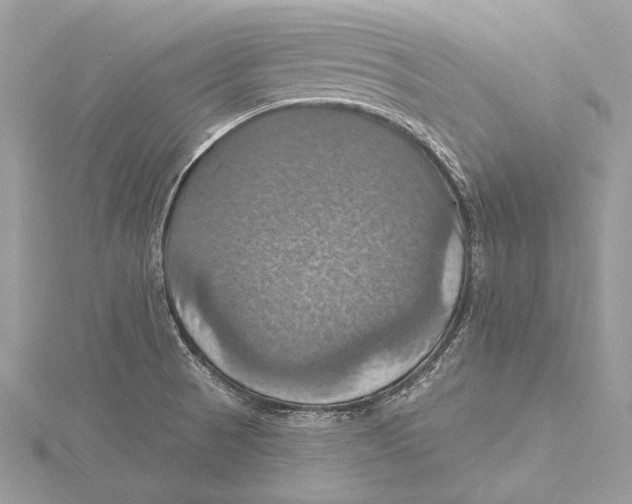 X0000115451521200912020955