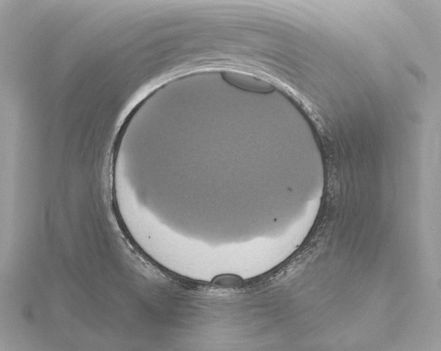 X0000115451522200912020955