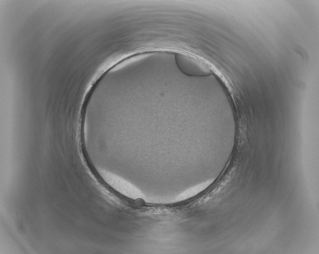 X0000115451525200912020955