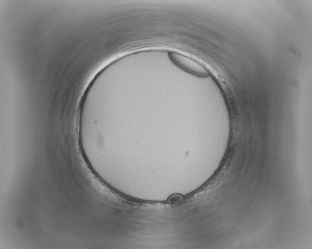 X0000115451526200912020955