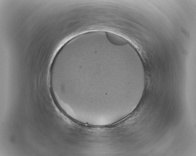 X0000115451527200912020955