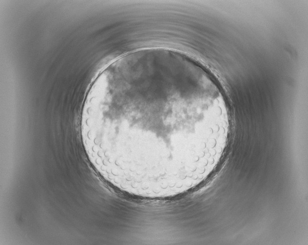 X0000115451529200912020955