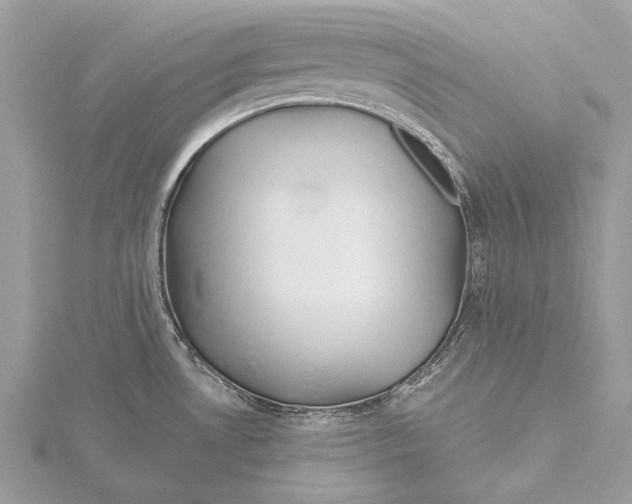 X0000115451530200912020955