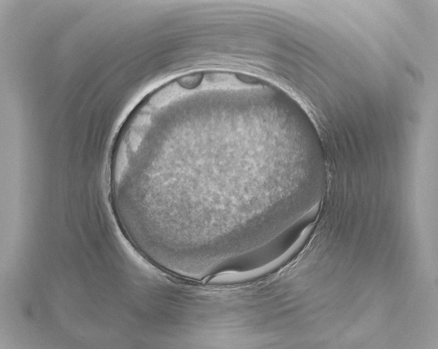 X0000115451531200912020955