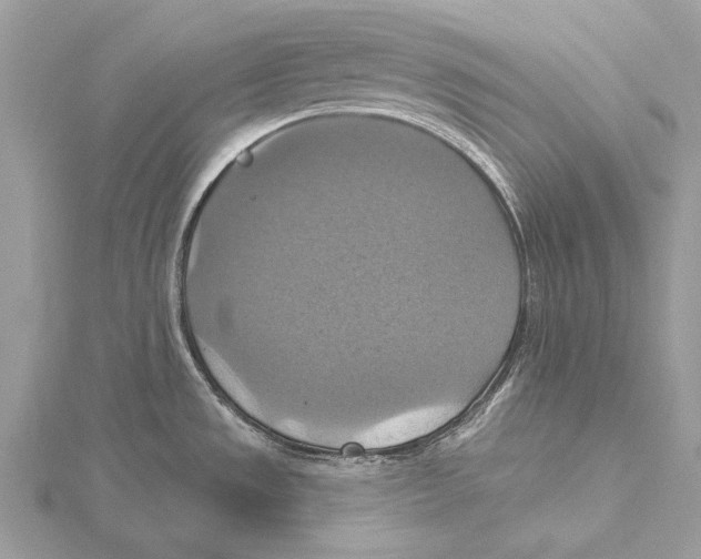 X0000115451533200912020955