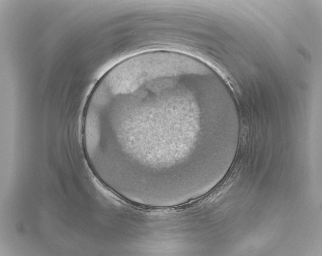 X0000115451535200912020955