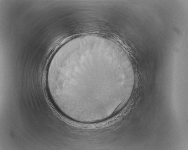 X0000115450002200912161524