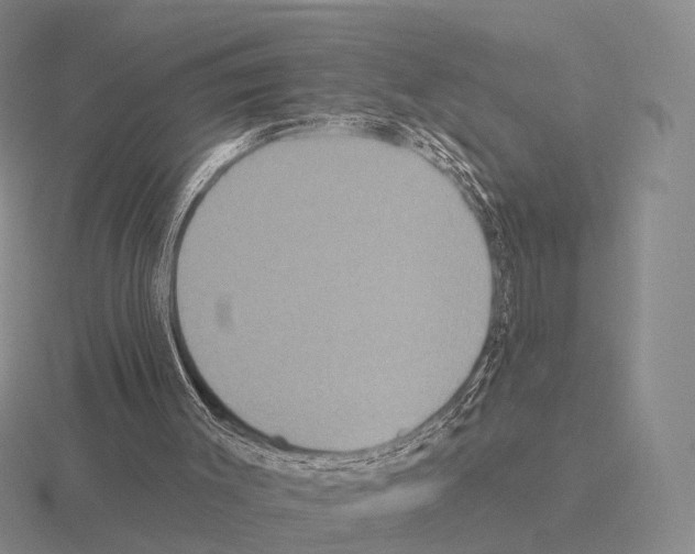 X0000115450003200912161524