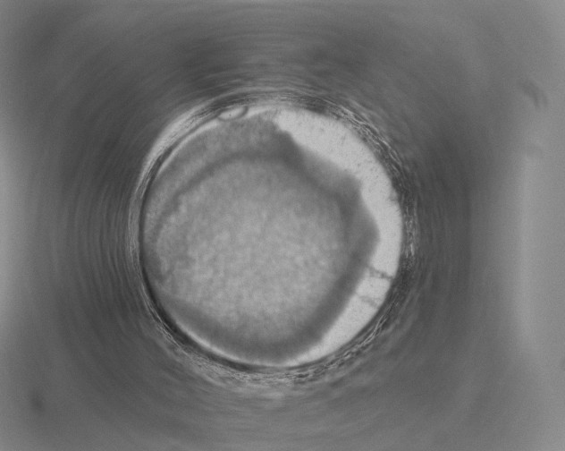 X0000115450004200912161524