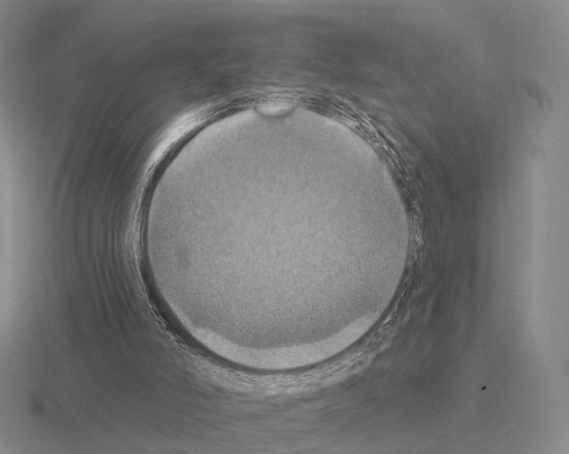 X0000115450006200912161524