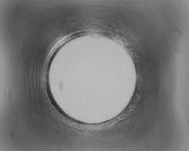 X0000115450007200912161524