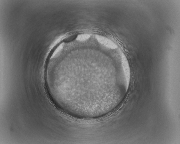 X0000115450008200912161524