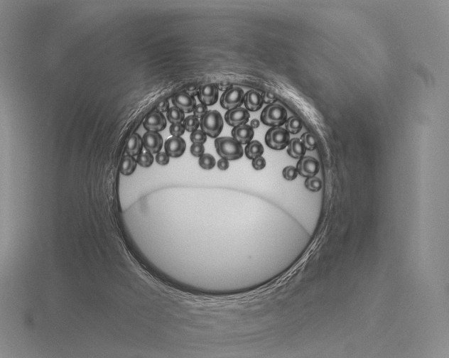 X0000115450009200912161524