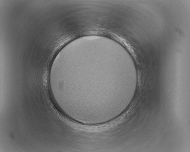 X0000115450010200912161524