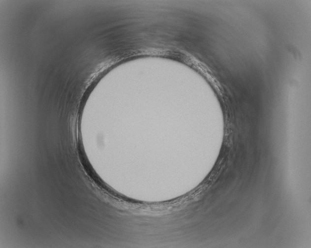 X0000115450011200912161524