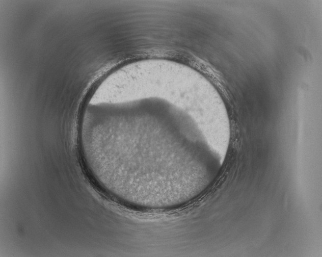 X0000115450012200912161524