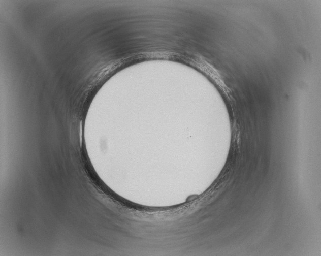 X0000115450013200912161524