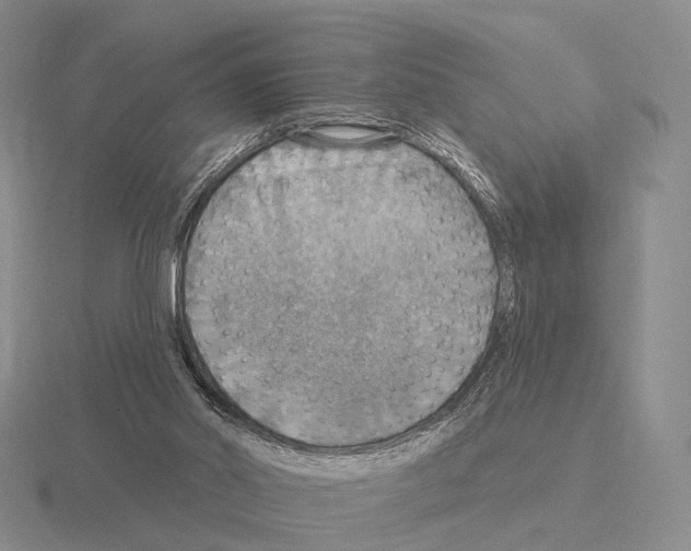 X0000115450014200912161524