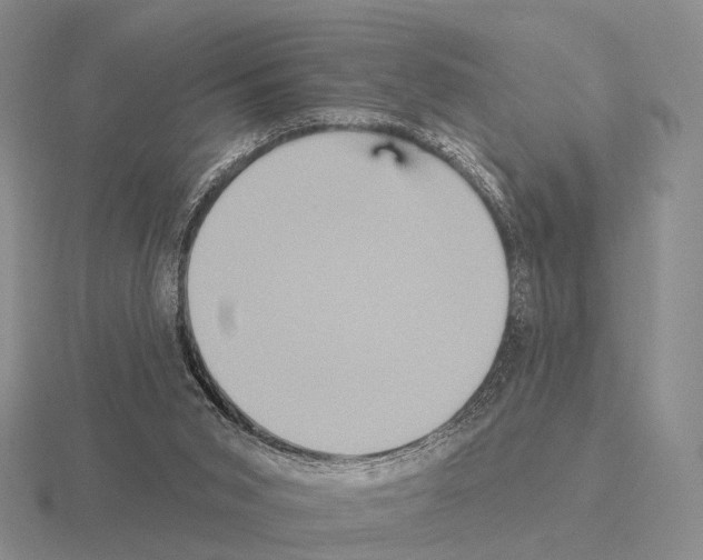 X0000115450015200912161523