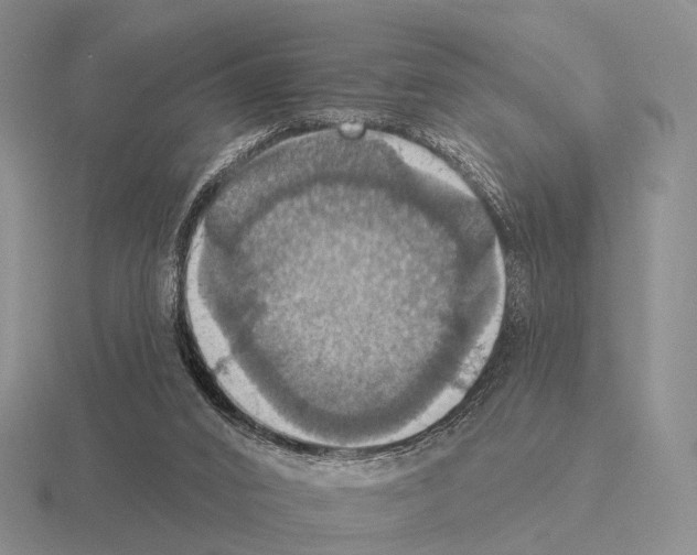 X0000115450016200912161523