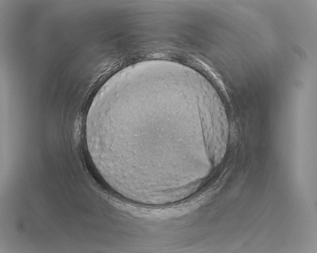 X0000115450018200912161523