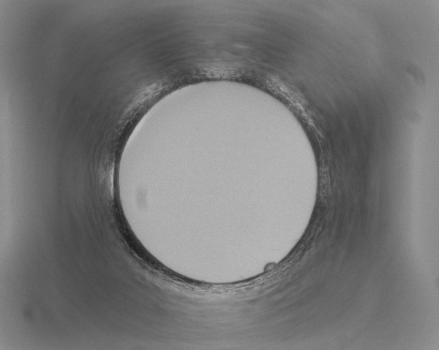 X0000115450019200912161523