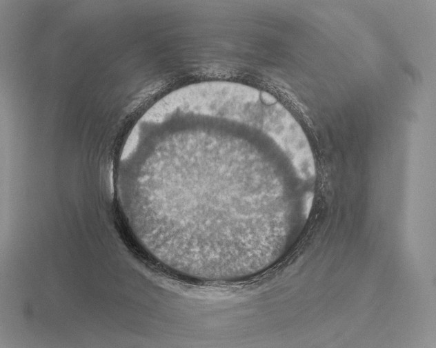 X0000115450020200912161523