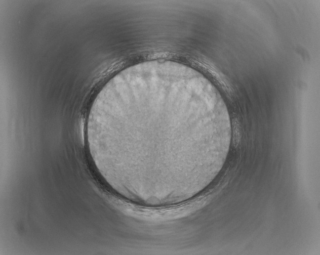 X0000115450022200912161523