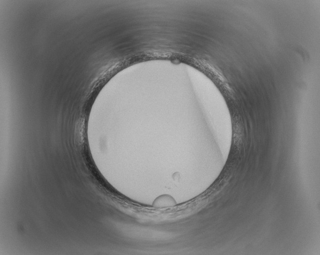 X0000115450023200912161523