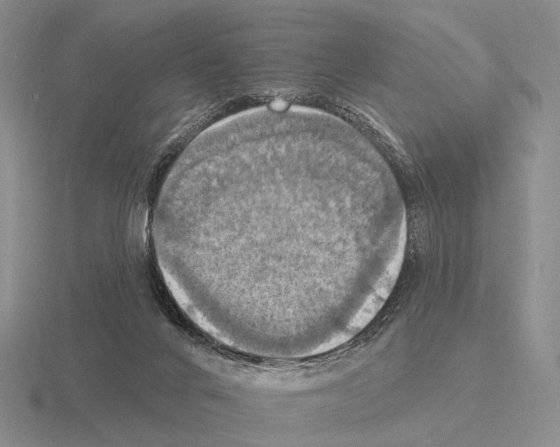 X0000115450024200912161523