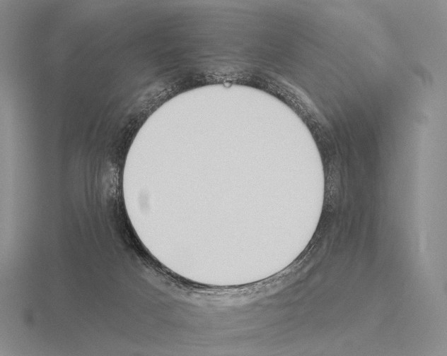 X0000115450025200912161523